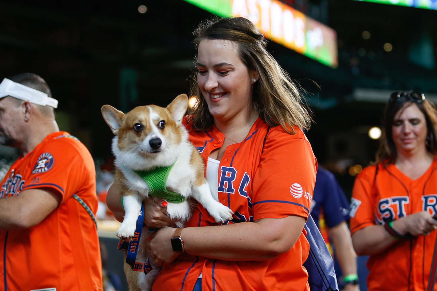 DOG DAY 2019. 12/10 good day. Baseball Doggos…, by Houston Astros