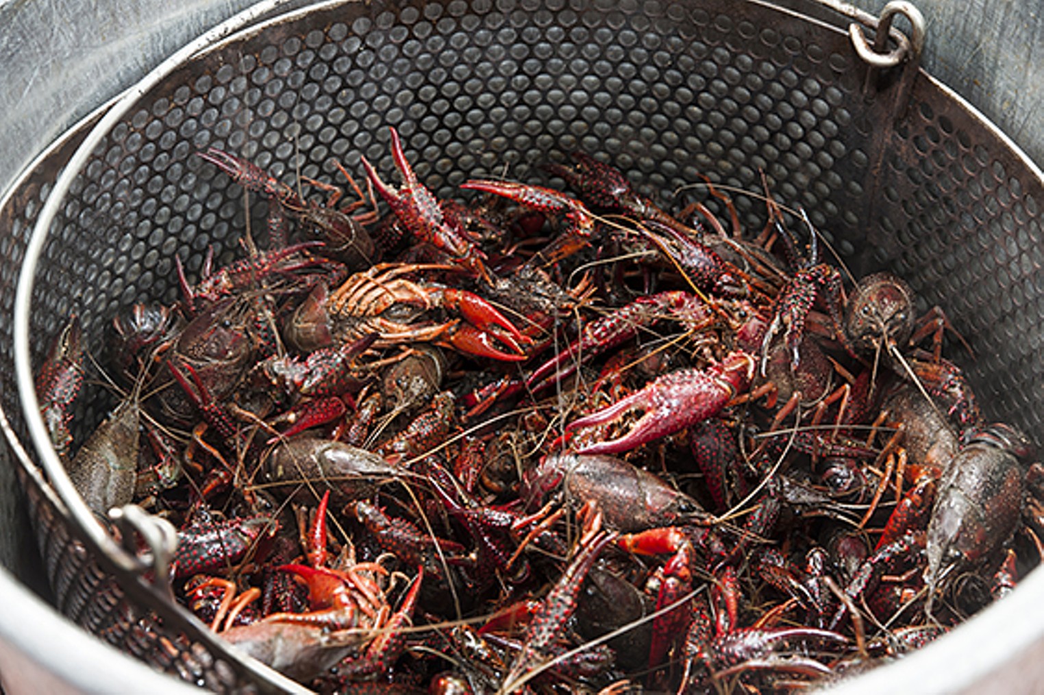 Astros Crawfish Boil: March 18th, 2022 - The Crawfish Boxes
