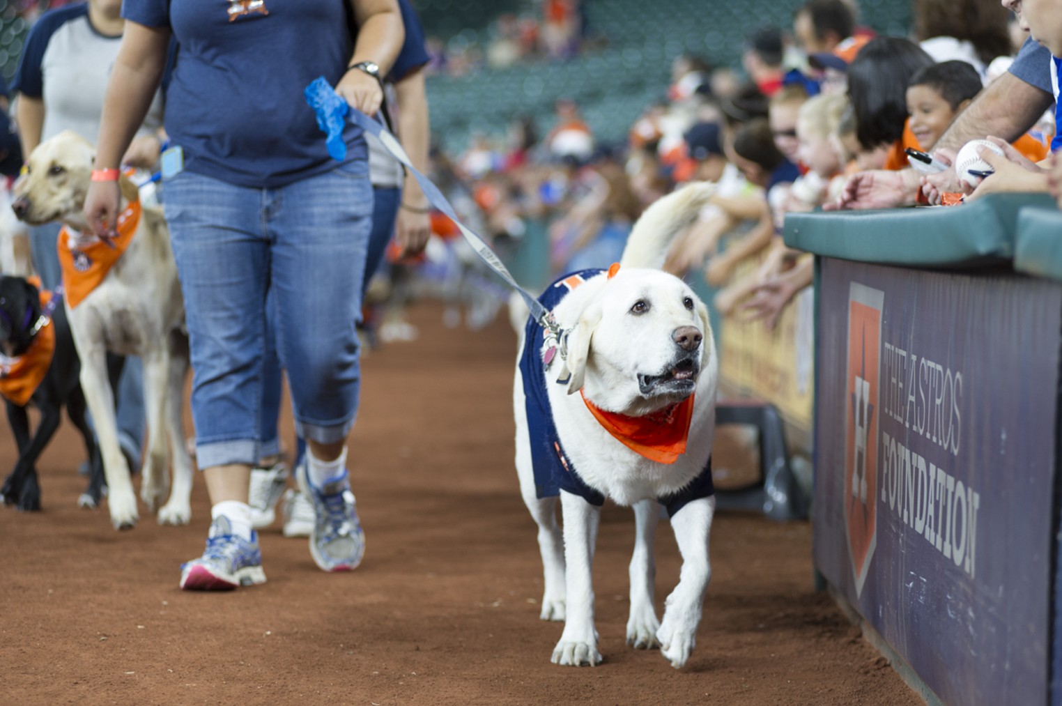 Houston Astros Bark at the Park, Houston, Houston Press