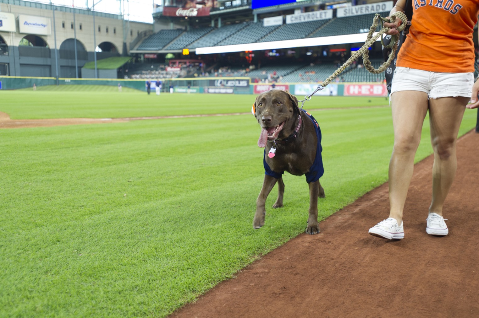 Houston Astros Bark at the Park, Houston, Houston Press