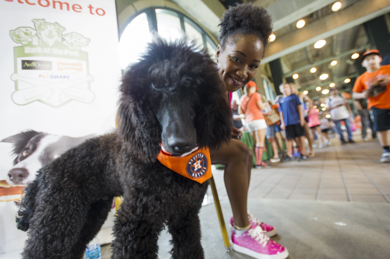 Houston Astros Bark at the Park, Houston, Houston Press