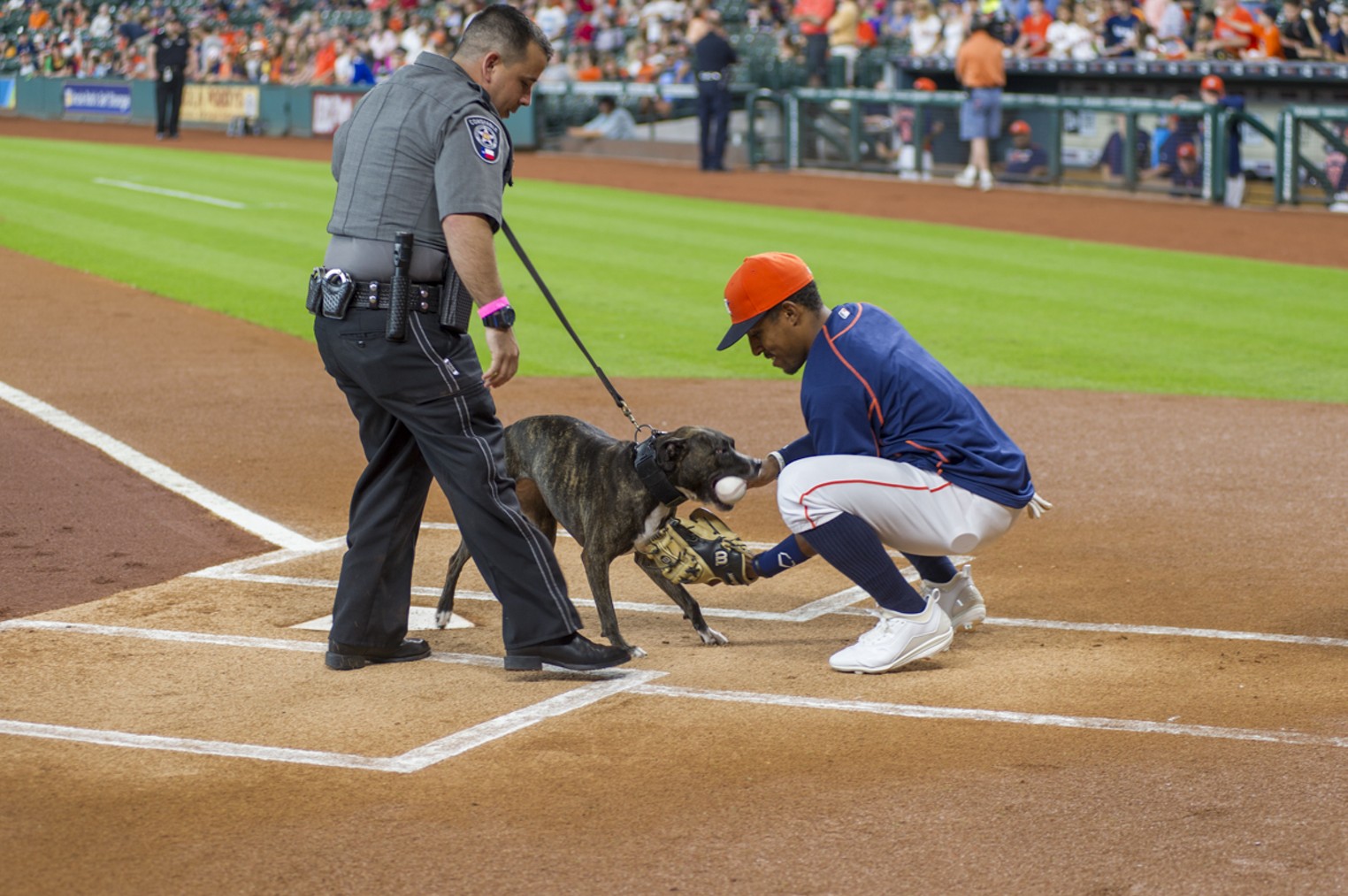 Houston Astros Bark at the Park, Houston, Houston Press