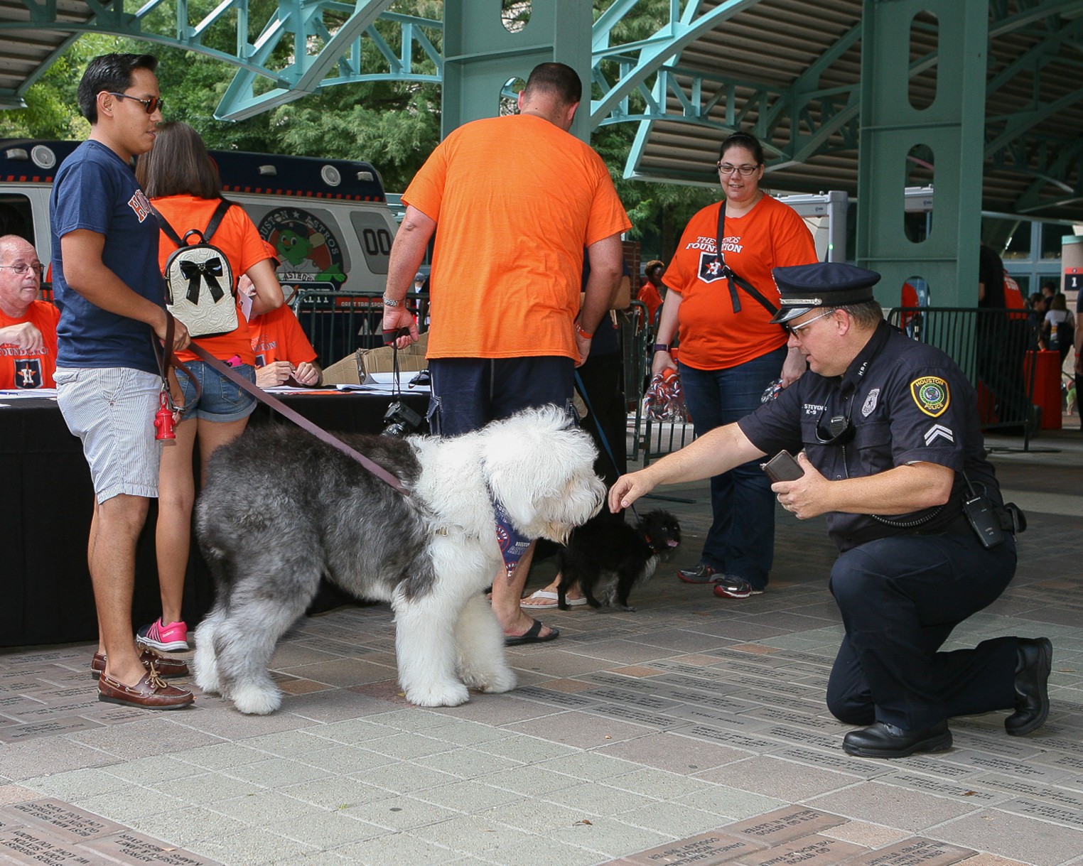 The Cute Canines at Dog Day at Minute Maid Park