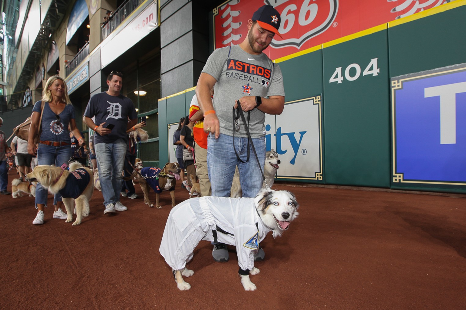 The Cute Canines at Dog Day at Minute Maid Park