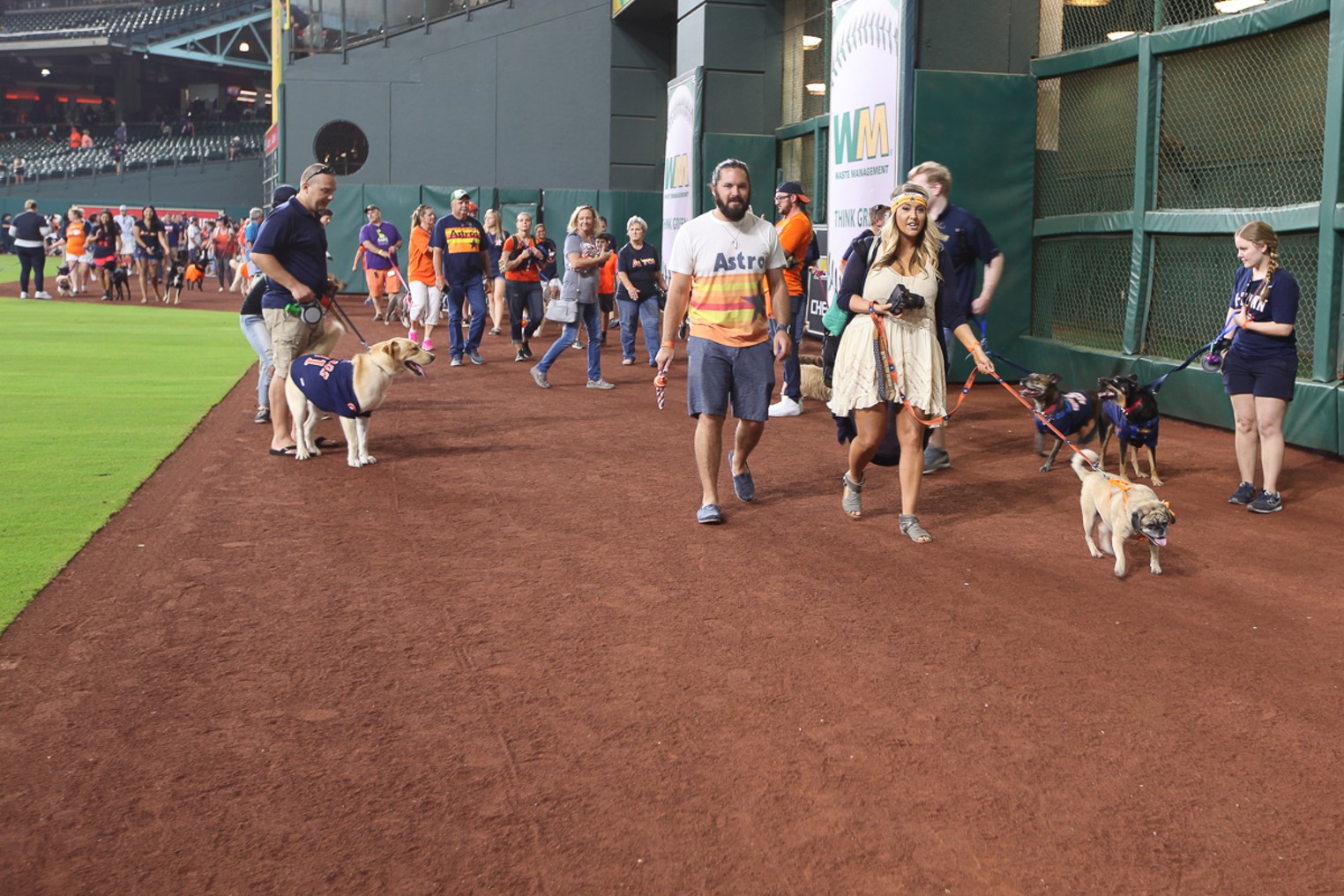 A dog walks around the field during Bark in the Park day at Citi