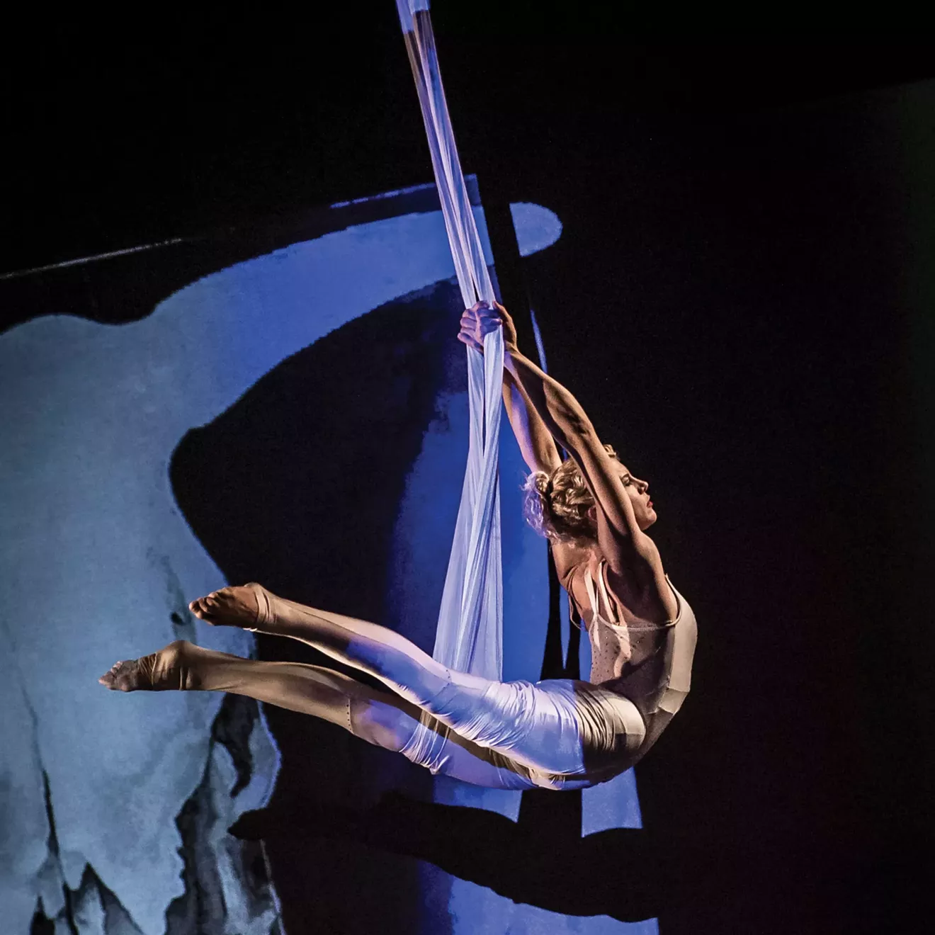 14.-cirquetacular-26-web-scaled.webp