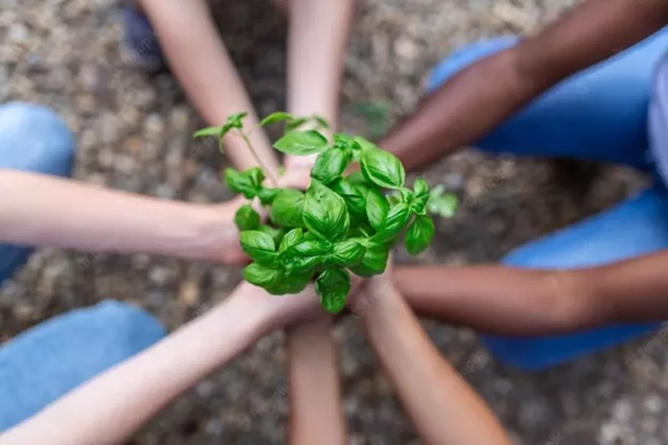 caring for the earth