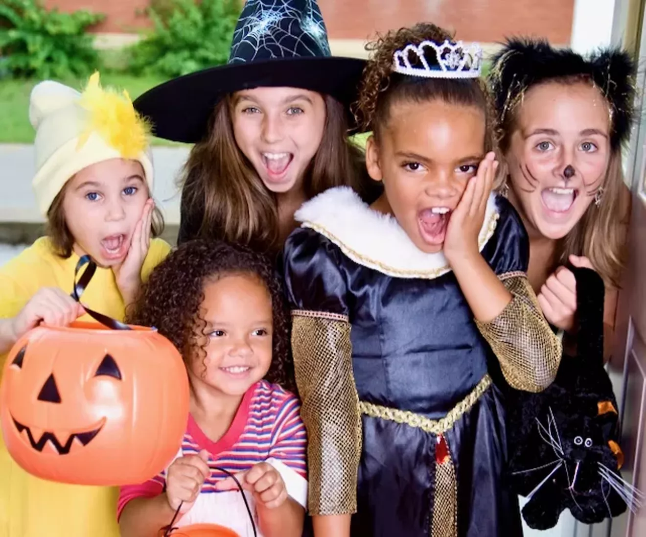 ccw_trail_of_treats_cropped.webp