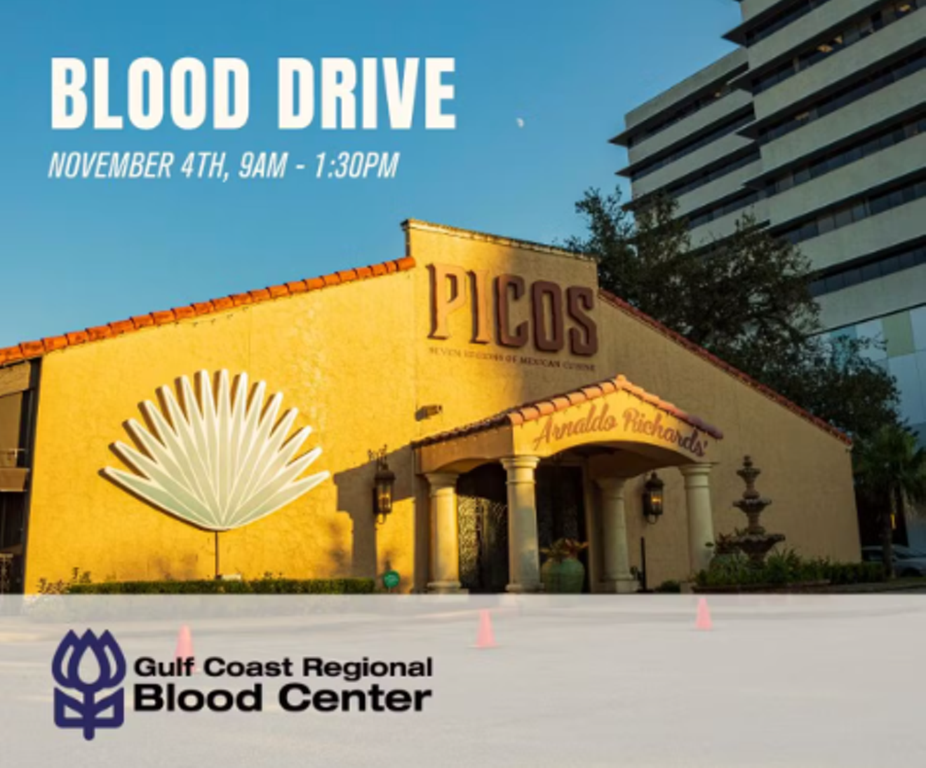 picos_blood_drive.png