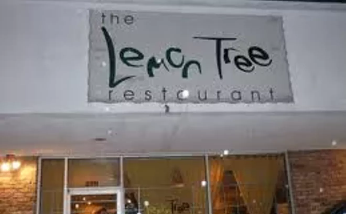 Image: Lemon Tree
