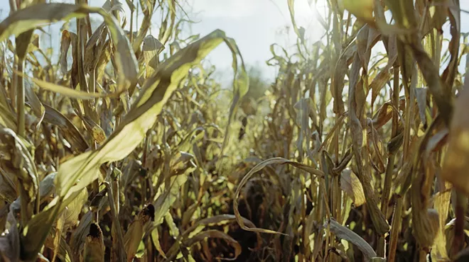 Image: Lorena Molina: At What Cost, Part II
