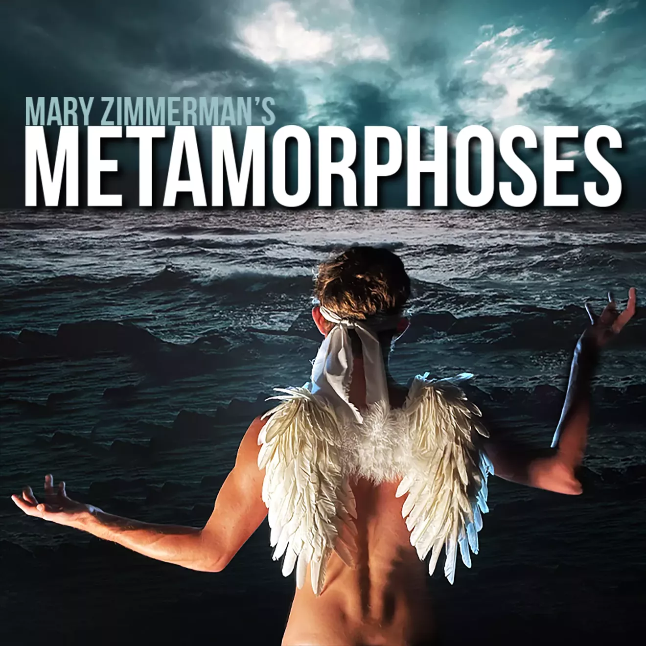 metalogo-1-.webp