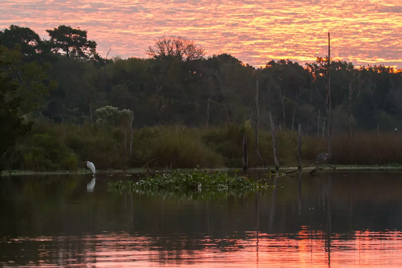 Armand Bayou Nature Center