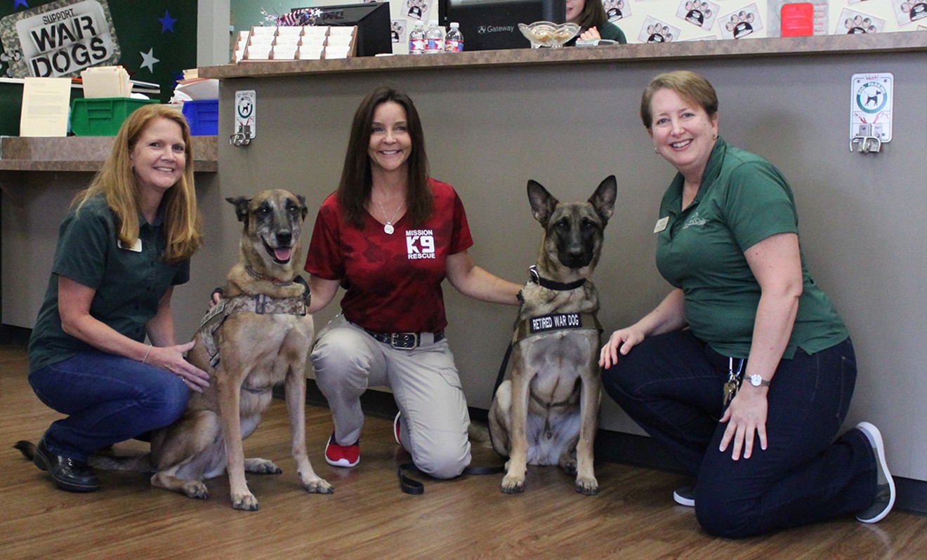 Lori Young, assistant general manager of Rover Oaks Pet Resort; Kristen Maurer, founder and president of Mission K9 Rescue; Claire Ellington, general manager of Rover Oaks Pet Resort; and retired war dogs Gina and Kilo.