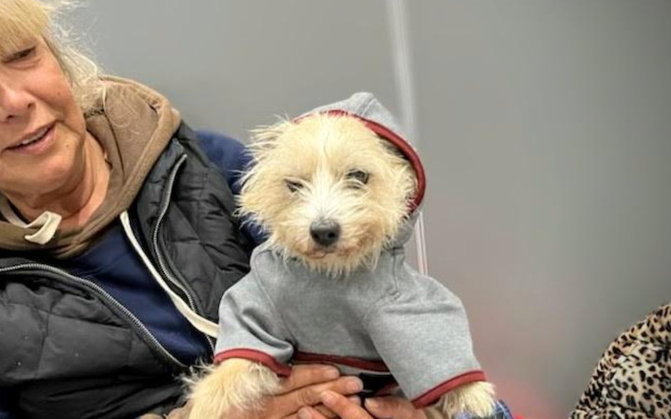 A pet and their owner at one of the warming centers.