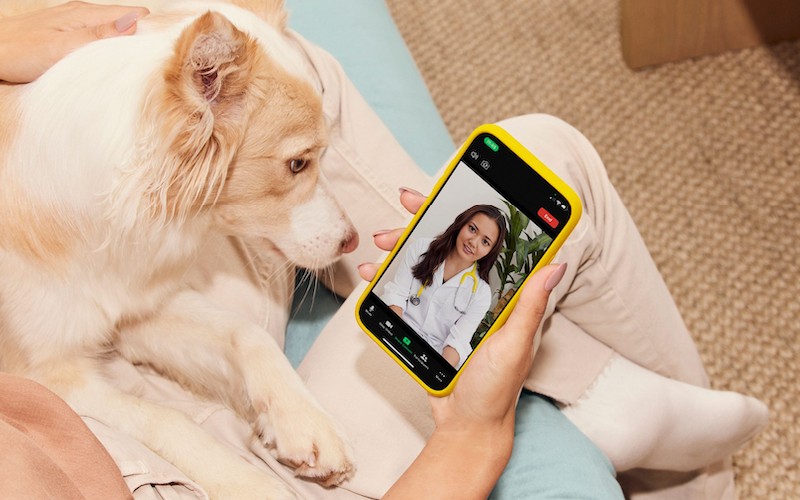 Veterinary telehealth services provide pet owners' with an affordable, accessible option of basic veterinary care.