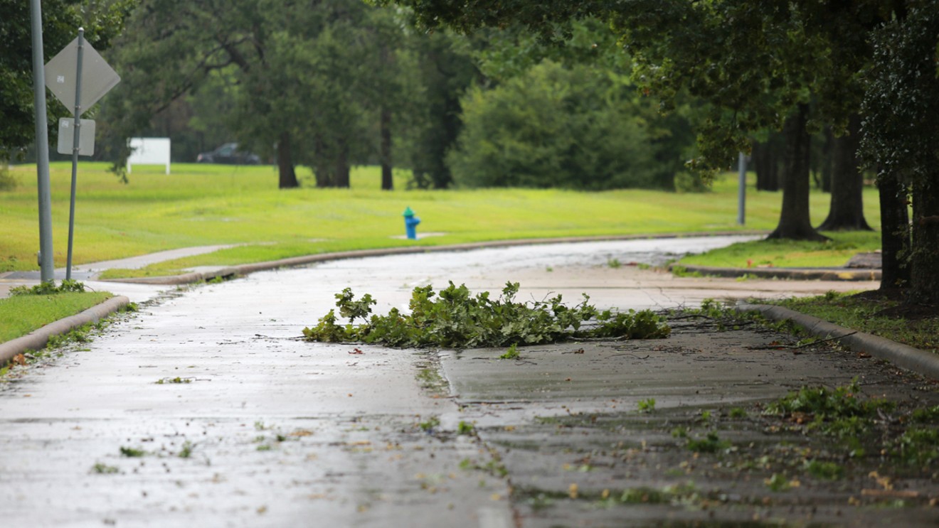 Lots of fallen branches littered the streets of greater Houston Tuesday thanks to Nicholas.