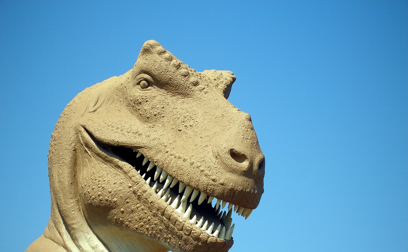 Head out to Dinosaur Valley State Park and take your selfie with the very same dinosaur models that were displayed at the 1964 World's Fair in New York City.