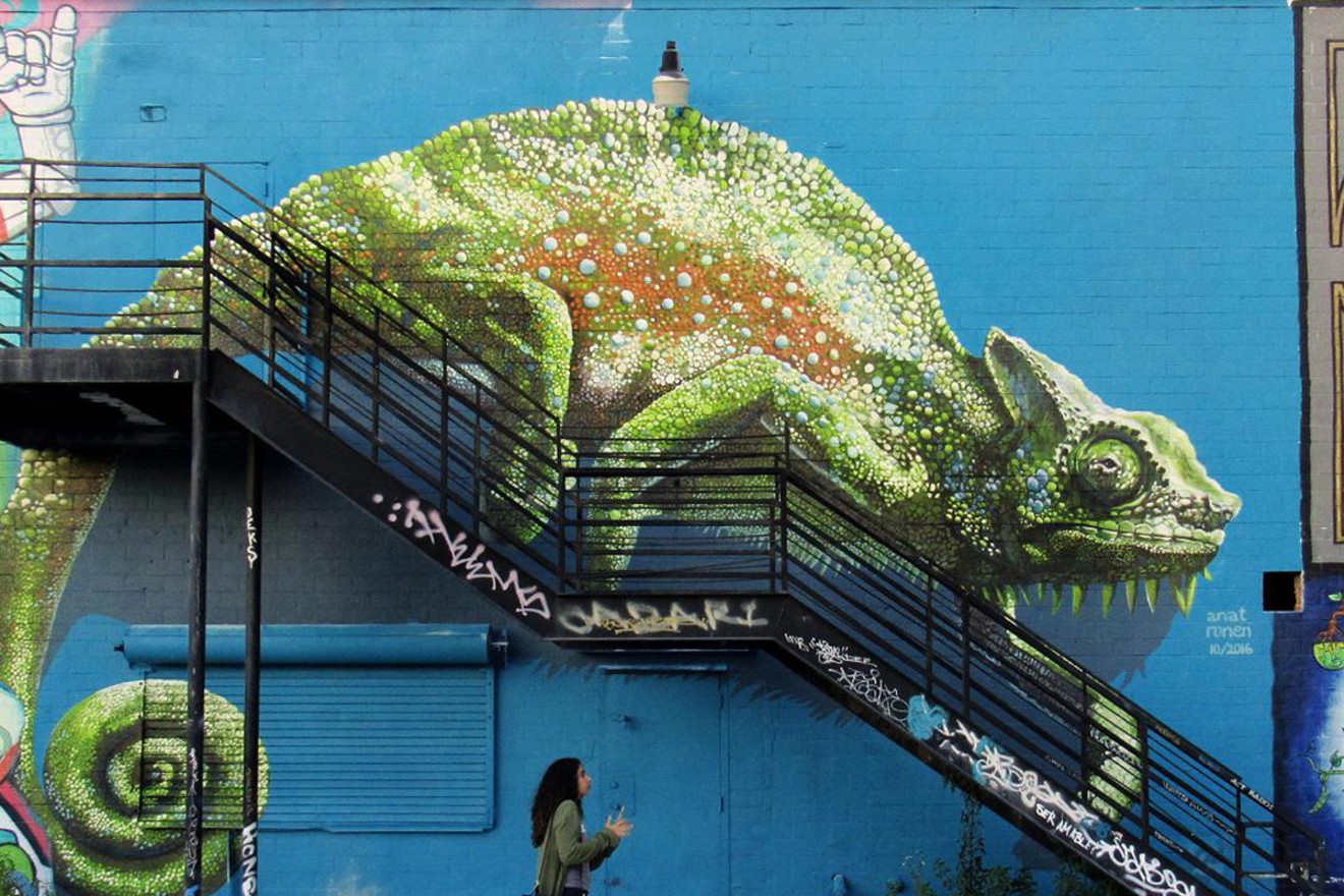 Chameleon, by Anat Ronen, from the 2016 HUE Mural Festival.