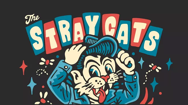 Image: Stray Cats