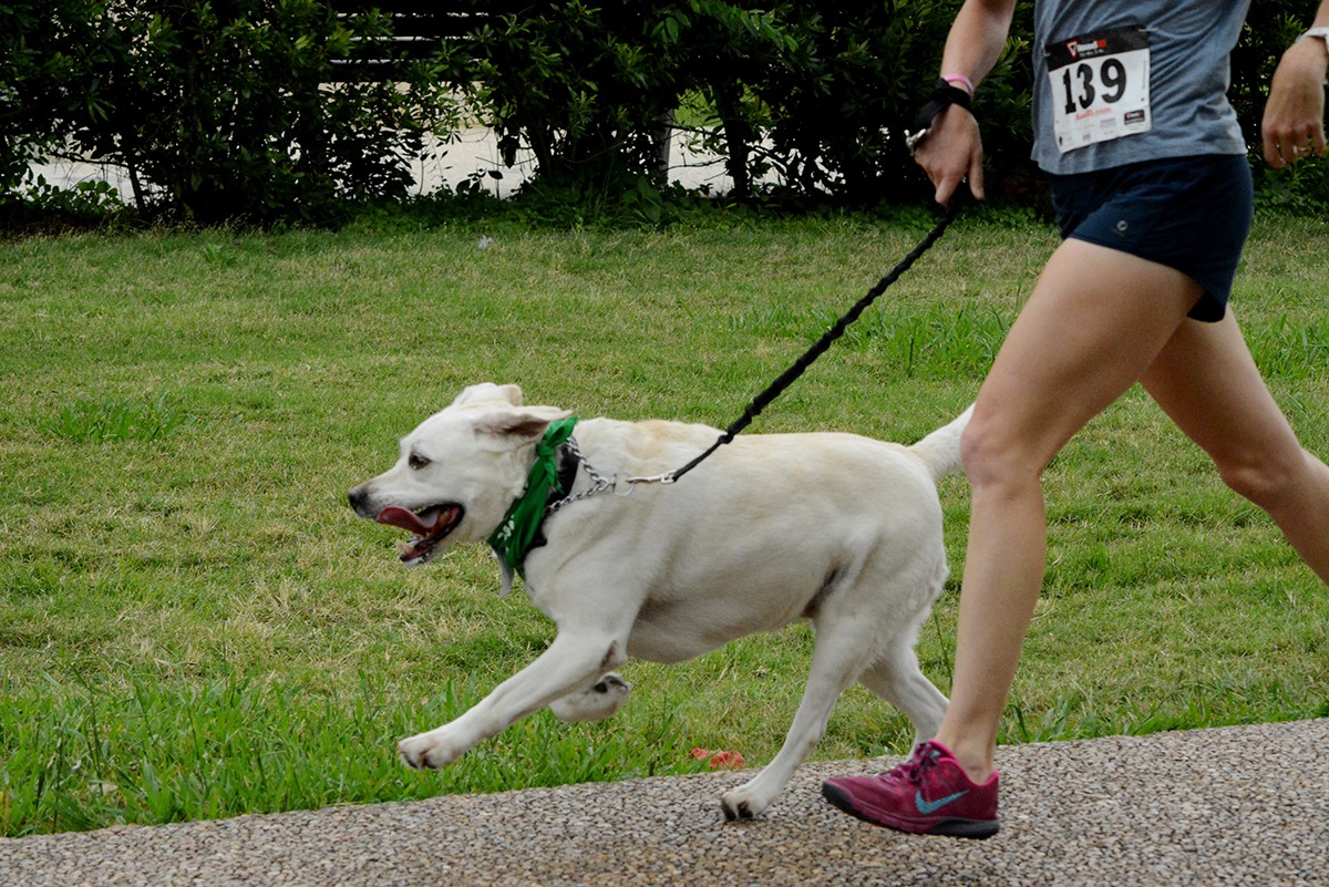 Dogs are ready for this laid back one-miler that ends with a paw-some after party at Lynn Eusan Park.