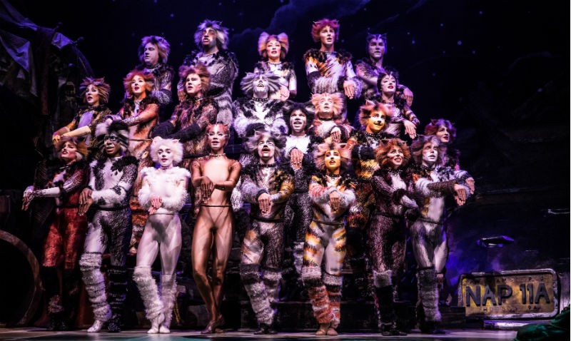 The North American Tour Company of Cats.