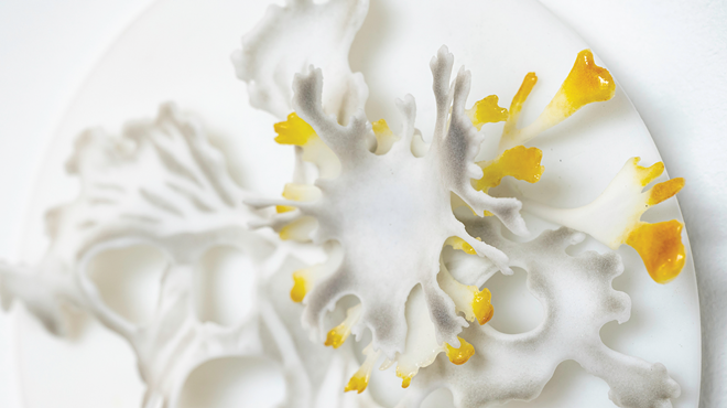 Image: Tour of "Tg: Transitions in Kiln-Glass"