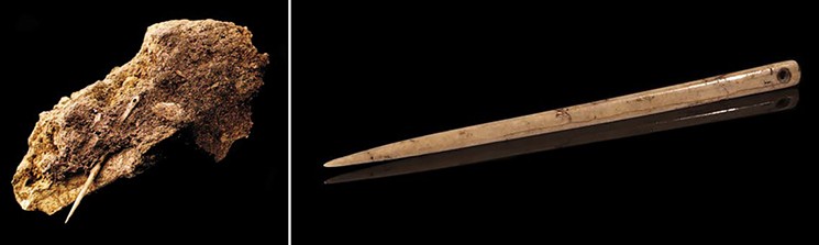 Neanderthals were the first early humans to wear clothing, and tailored attire helped them withstand cold winter temperatures. Neanderthal sewing needles are shown (L) embedded and (R) close-up view. - PHOTOS COURTESY OF THE ARCHAEOLOGICAL INSTITUTE OF AMERICA, HOUSTON SOCIETY
