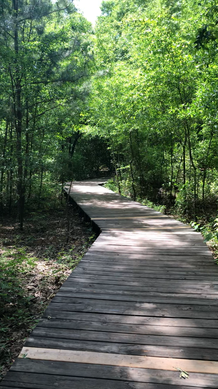 This Houston Arboretum trail will be transformed into a catwalk for the Mystic Forest Fashion Show June 28th. - PHOTO COURTESY OF MANUEL REUTER