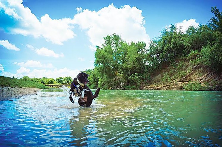 The dog-friendly River Trail Park in Luling doesn't have camping but kayak and boat rentals are available. - PHOTO BY CAROLYN TRACY, FROM THE SWIMMING HOLES OF TEXAS BY CAROLYN TRACY AND JULIE WERNERSBACH