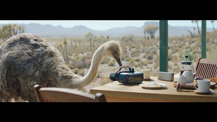Samsung, Samsung Gear VR, Ostrich, made for Leo Burnett Chicago by MJZ London, directed by Matthijs van Heijningen, earned the British Arrow for Best Crafted Commercial in 2018. - FILM STILL COURTESY OF THE BRITISH ARROWS AND THE MUSEUM OF FINE ARTS, HOUSTON