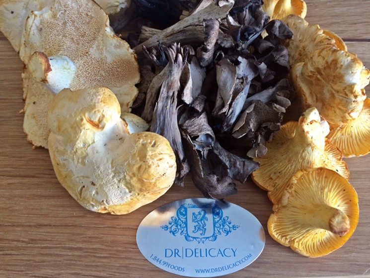 Girolle, Hedgehog, & Black Trumpet mushrooms - PHOTO COURTESY OF DR DELICACY
