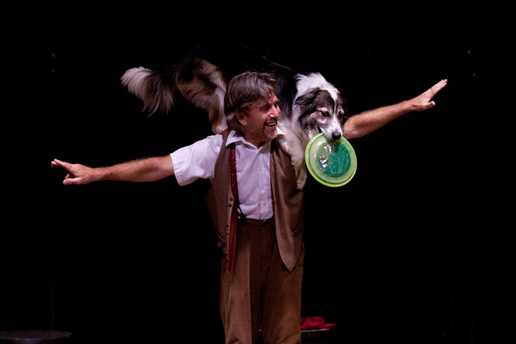 Expect the unexpected as canines and comedy collide in Mutts Gone Nuts, a smash hit performance that leaves audiences howling for more. - PHOTO BY JONELL FRANZ