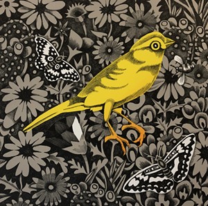 Canary, by Fort Worth-based artist Billy Hassell. - PHOTO BY FOLTZ FINE ART, COURTESY OF THE ARTIST