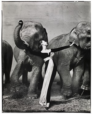 Shown: Dovima with Elephants, evening dress by Dior, Cirque d’Hiver, Paris, August 1955 - PHOTO BY RICHARD AVEDON, © THE RICHARD AVEDON FOUNDATION, COURTESY OF MUSEUM OF FINE ARTS, HOUSTON