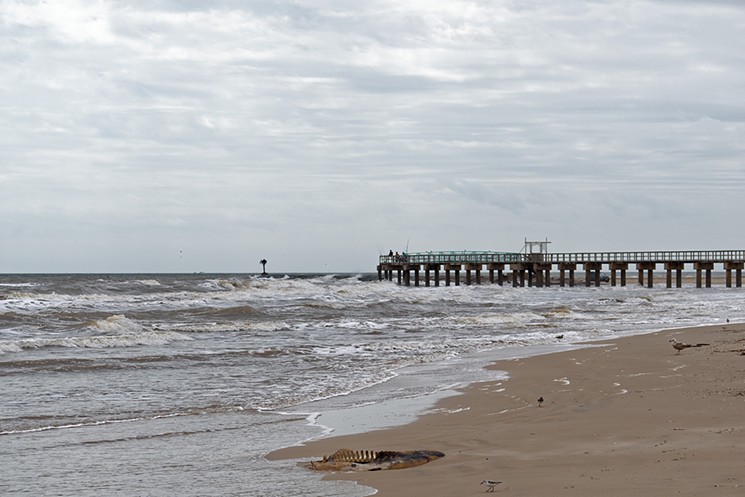 Matagorda Bay Nature Park (98.6 miles from downtown Houston). - PHOTO BY MARY4MAC/FLICKR VIA CC