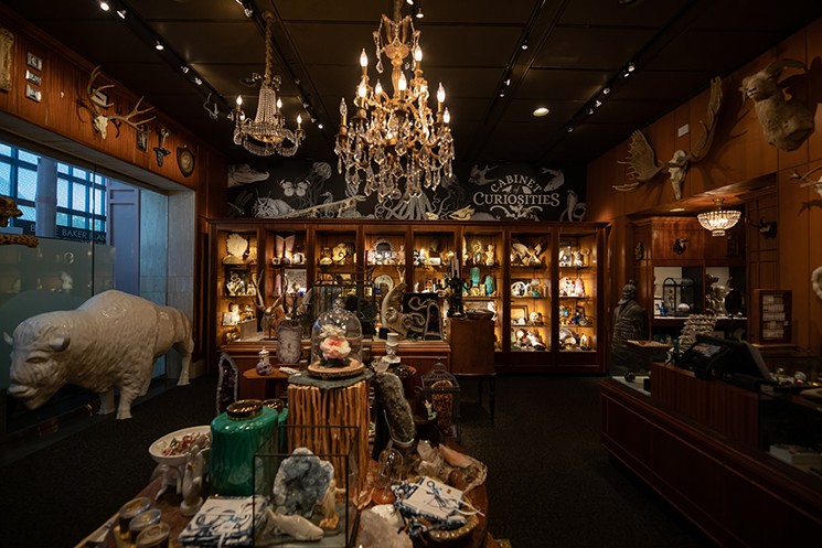 Find walrus bone sculptures and skeleton paperweights at HMNS. - PHOTO BY MIKE RATHKE, COURTESY OF HMNS
