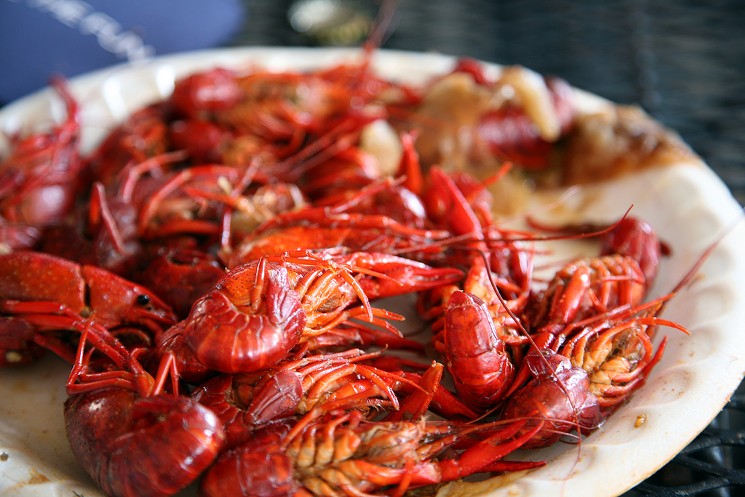 Bring the entire family to the Heights Crawfish Festival. - PHOTO BY SARAH LAVAL