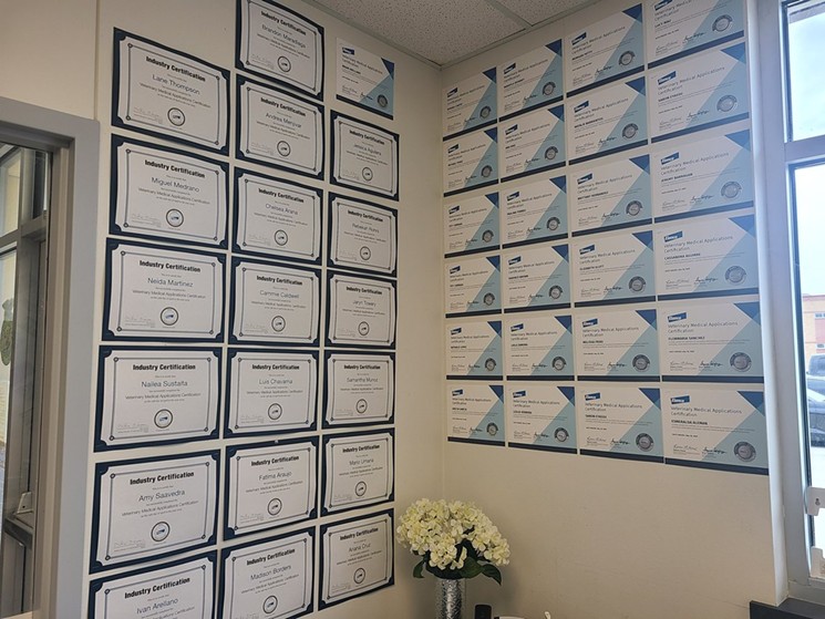 The walls in Marissa Runnels' office at Nimitz High School are covered in students' certificates in various animal skills. - COURTESY MARISSA RUNNELS