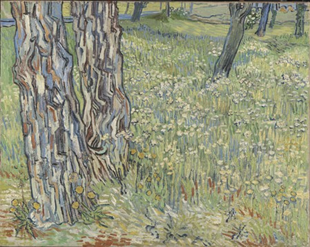 "Tree Trunks in the Grass" by Vincent Van Gogh, 1890, oil on canvas. - PHOTO BY THE KRÖLLER-MU?LLER MUSEUM, OTTERLO, THE NETHERLANDS/COURTESY OF THE MUSEUM OF FINE ARTS, HOUSTON