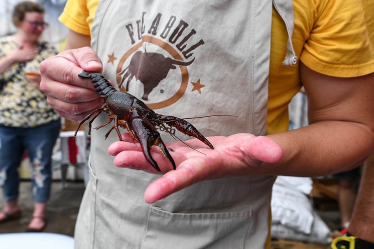 That's either a giant crawfish or a small lobster. In any case, we wouldn't have the nerve to try to bait a hook with it. - PHOTO BY HANNAH RIDINGS