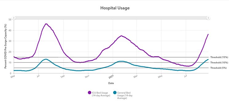 The number of general and ICU hospital beds taken up by COVID-19 patients in Harris County continues to rise. - SCREENSHOT
