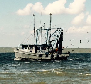 A shrimp boat coming in at Kemah. - PHOTO BY LORRETTA RUGGIERO