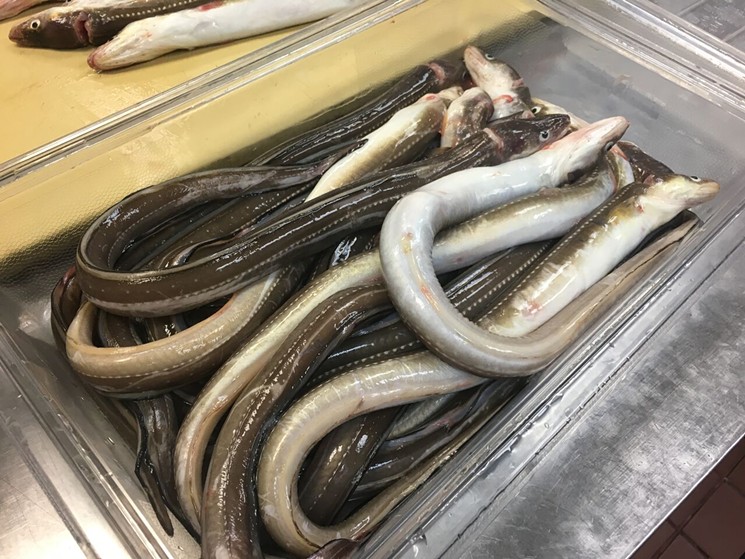 Eels in the kitchen at Kata Robata - PHOTO COURTESY OF KATA ROBATA