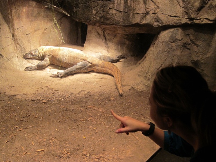 Ooh-ing and aah-ing over the komodo dragon. - PHOTO BY MAI PHAM