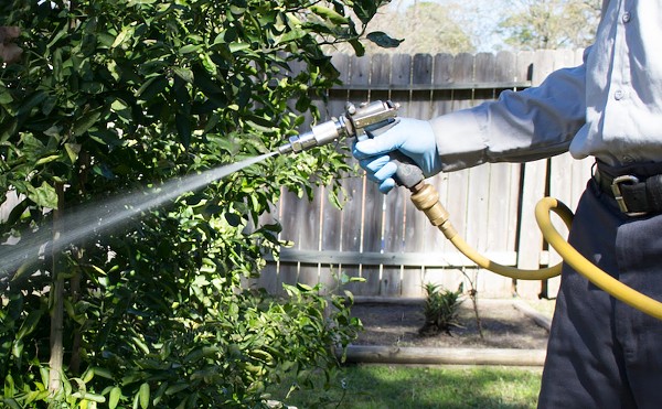 As Warmer Weather and Rain Increases, So Does The Need for Exterminator Services