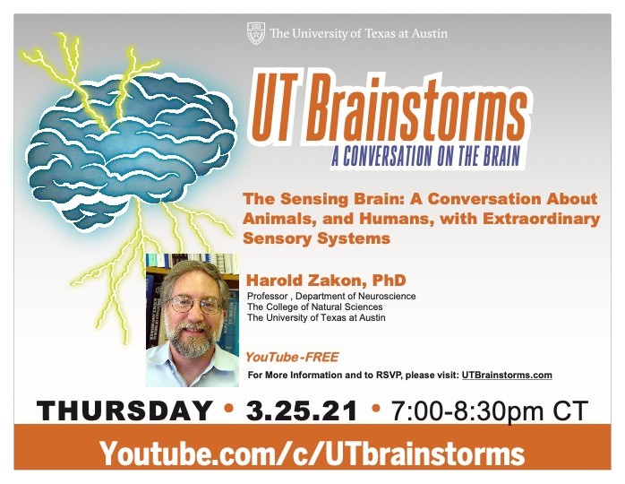 UT Brainstorms March 25, 2021 Flyer
