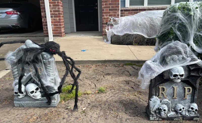 The theme at my house this year was giant spiders.