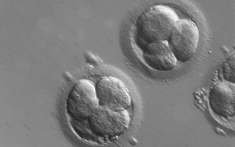 Texas' definition of personhood could make IVF nearly impossible.