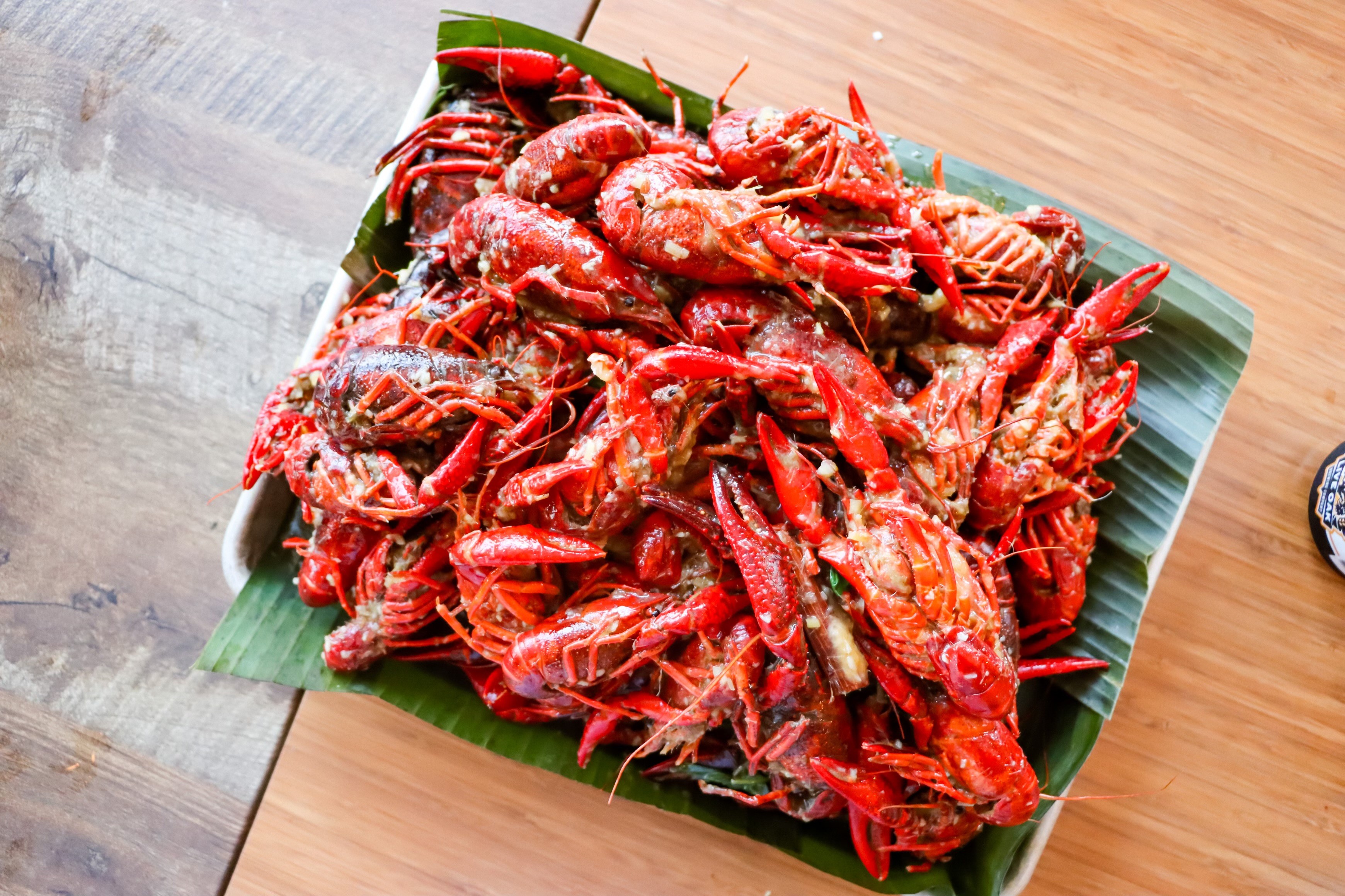 Astros Crawfish Boil: August 28, 2023 - The Crawfish Boxes